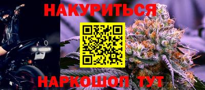 индика Гусиноозёрск
