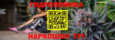 индика Гусиноозёрск